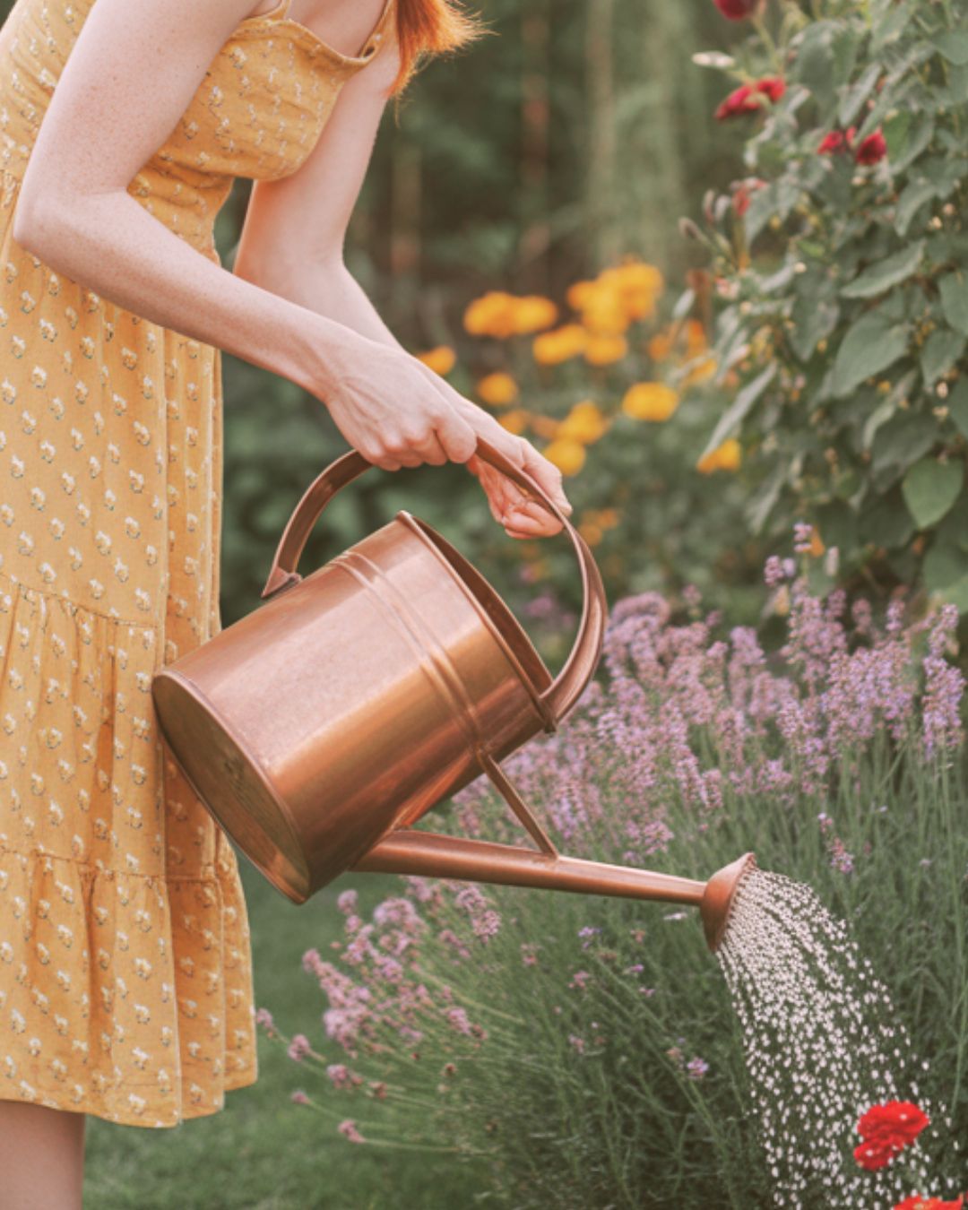 Your Summer Morning Routine: How to Start the Day Slow, Sunny, and Intentional