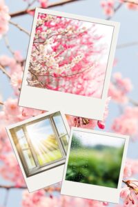 March Bucket List Ideas: 31 Ways to Welcome Spring With Intention, Joy & a Little Fresh Air